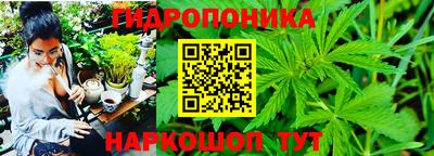ALPHA PVP Малгобек