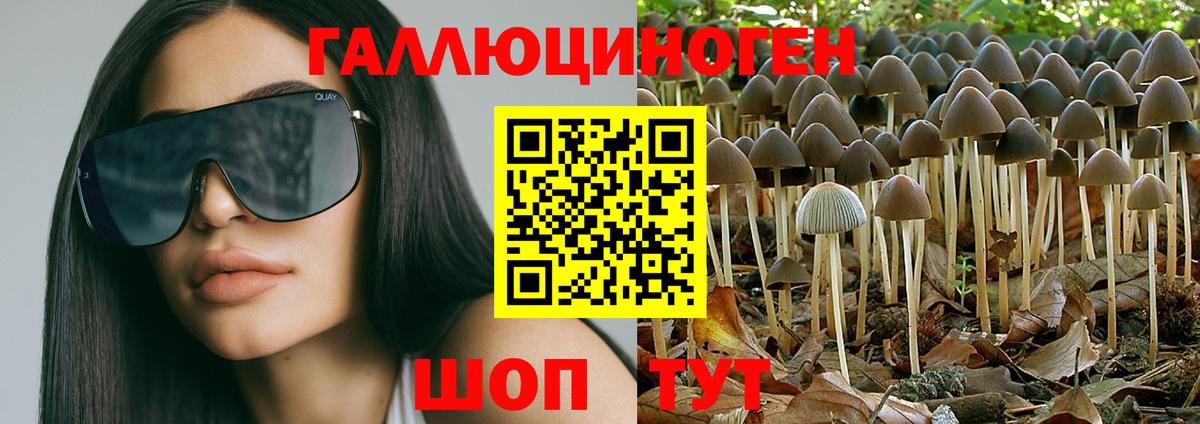 Псилоцибиновые грибы Psilocybe  Вход с VPN  Тверь 