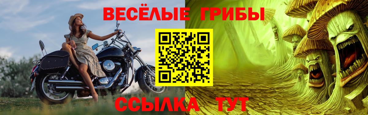 Галлюциногенные грибы ЛСД Тверь